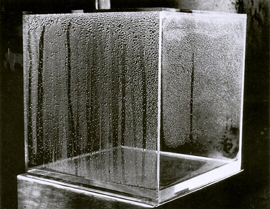 hans haacke - condensaton cube